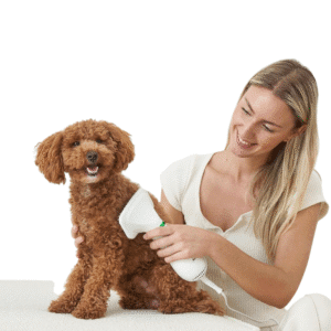 Secador de pelo para perros 2 en 1 con cepillo deslizante para perros y gatos